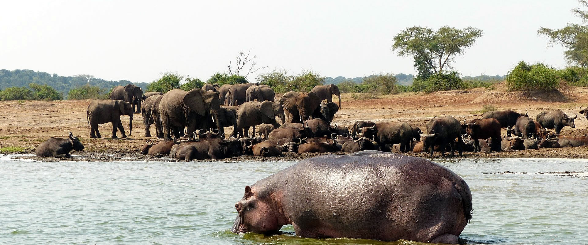 5 Days Kibale NP and Murchison Falls NP
