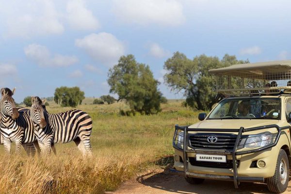 7 Days Kenya Wildlife Safari