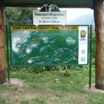 Uganda Mountain Hiking Safaris