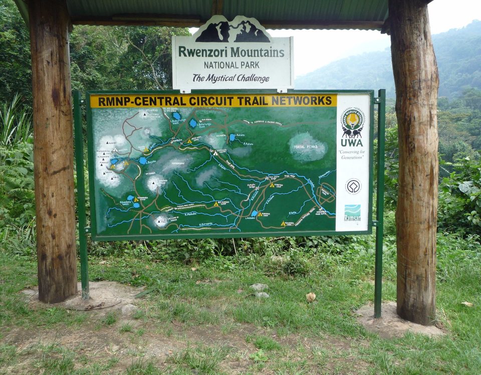 Uganda Mountain Hiking Safaris