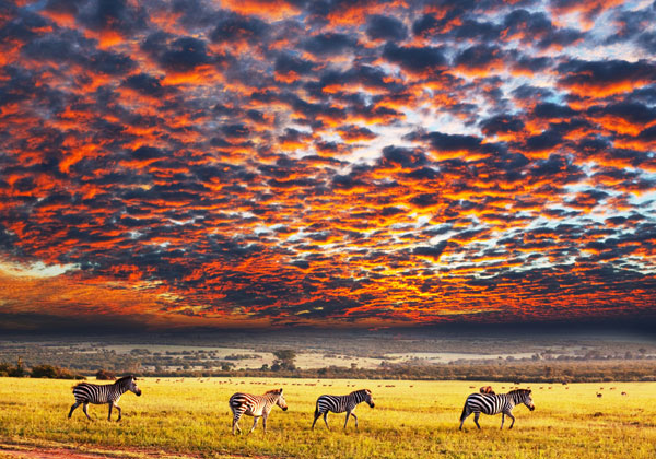 Serengeti National Park