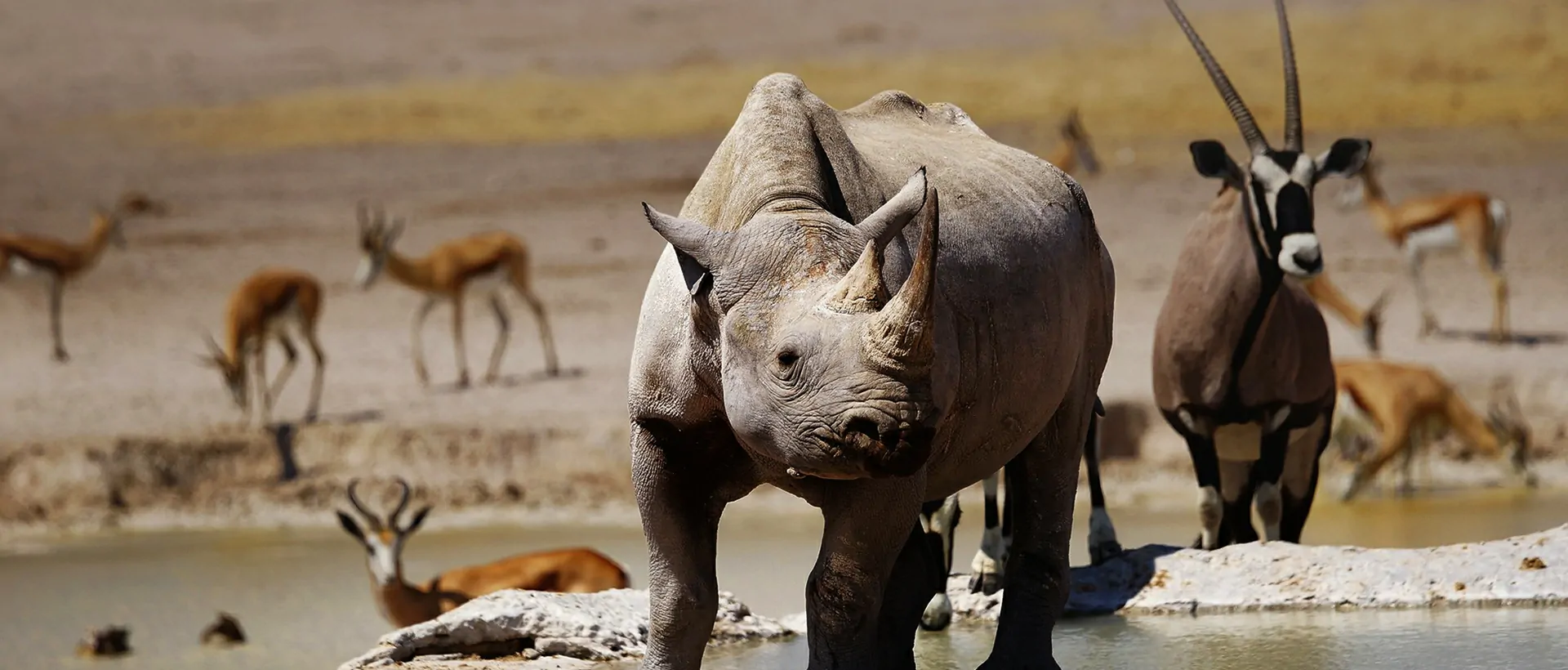 Kenya National Parks