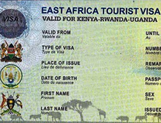 East Africa Tourist Visa Safari Travel Guide