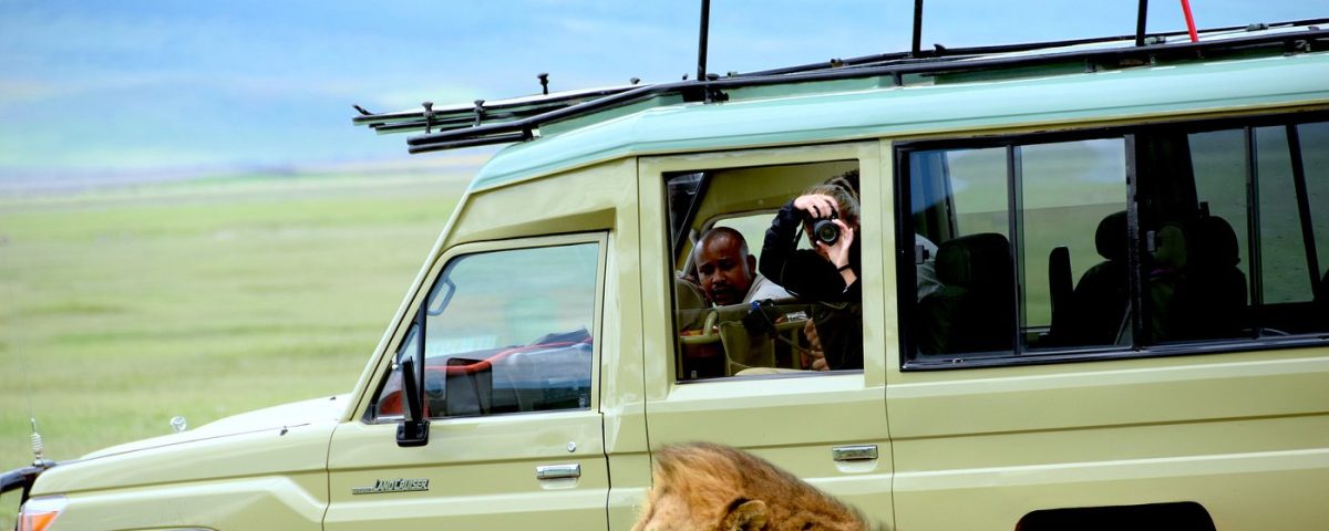 Akagera Wildlife & Bwindi Gorillas