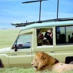 Akagera Wildlife & Bwindi Gorillas