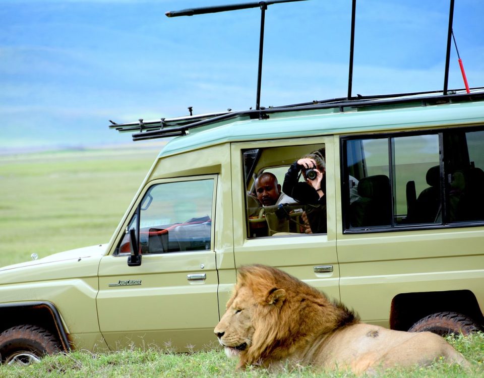 Akagera Wildlife & Bwindi Gorillas