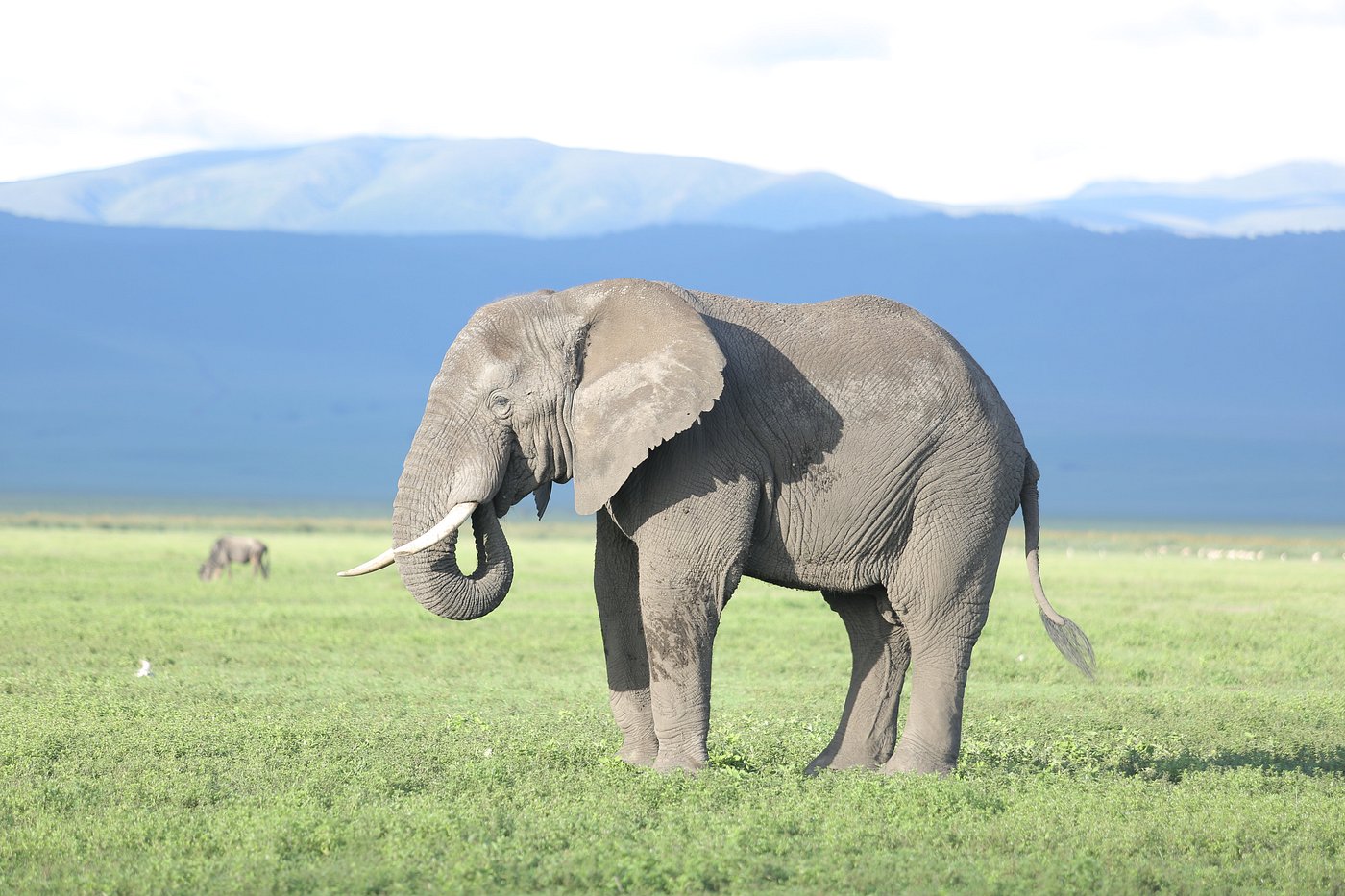 12-Day Best of Kenya and Tanzania