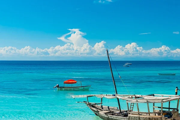 10-Day Tanzania Wildlife Safari & Zanzibar. 10-Day Tanzania Wildlife Safari & Zanzibar