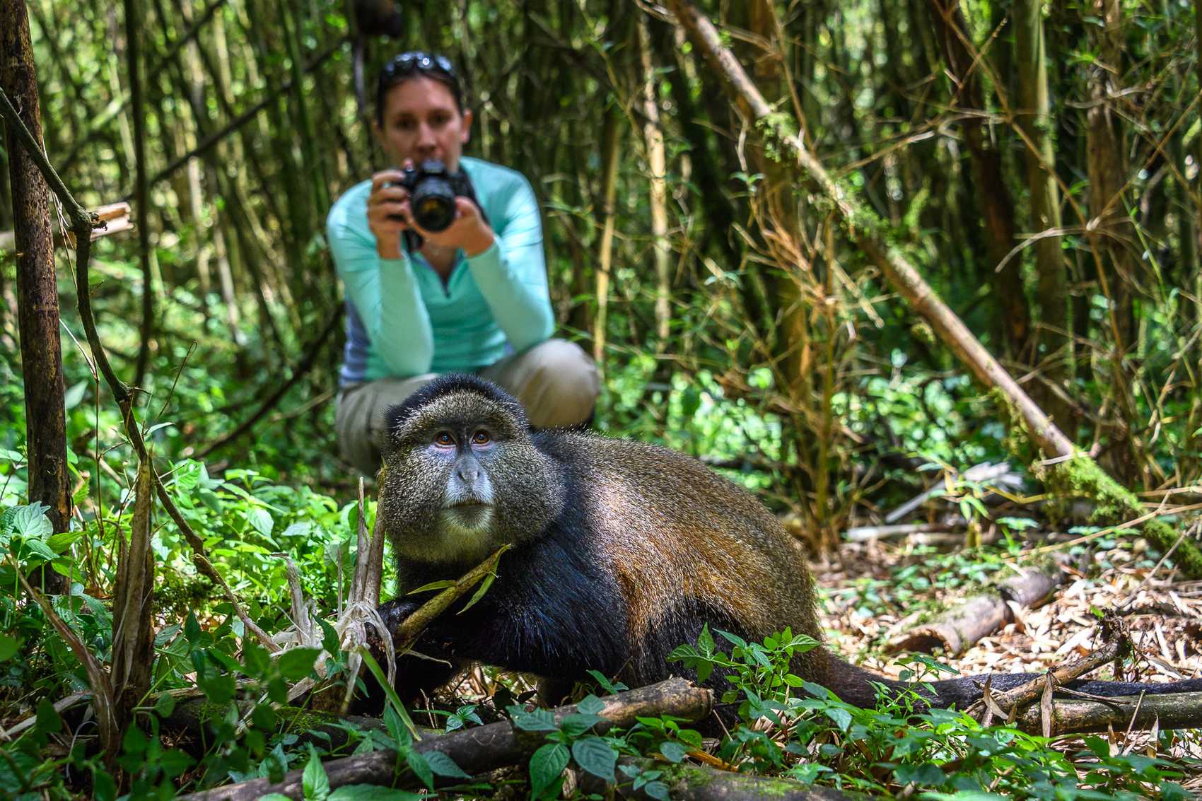 11-Day Ultimate Tanzania and Rwanda Safari