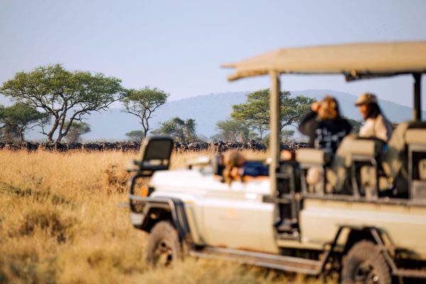 11‑Day Luxury Odyssey Safari to Kenya and Tanzania