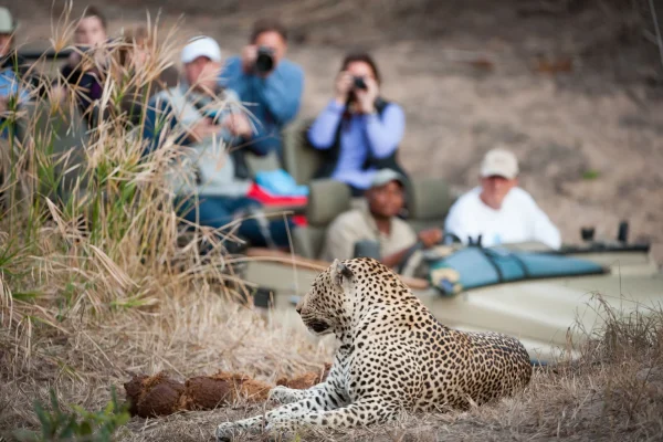 14-Day Classic Safari to Kenya & Tanzania with Zanzibar