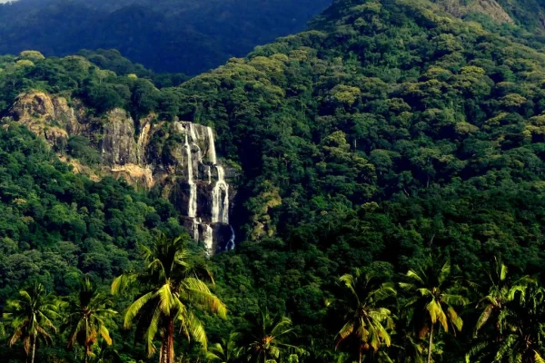 Udzungwa Mountains National Park