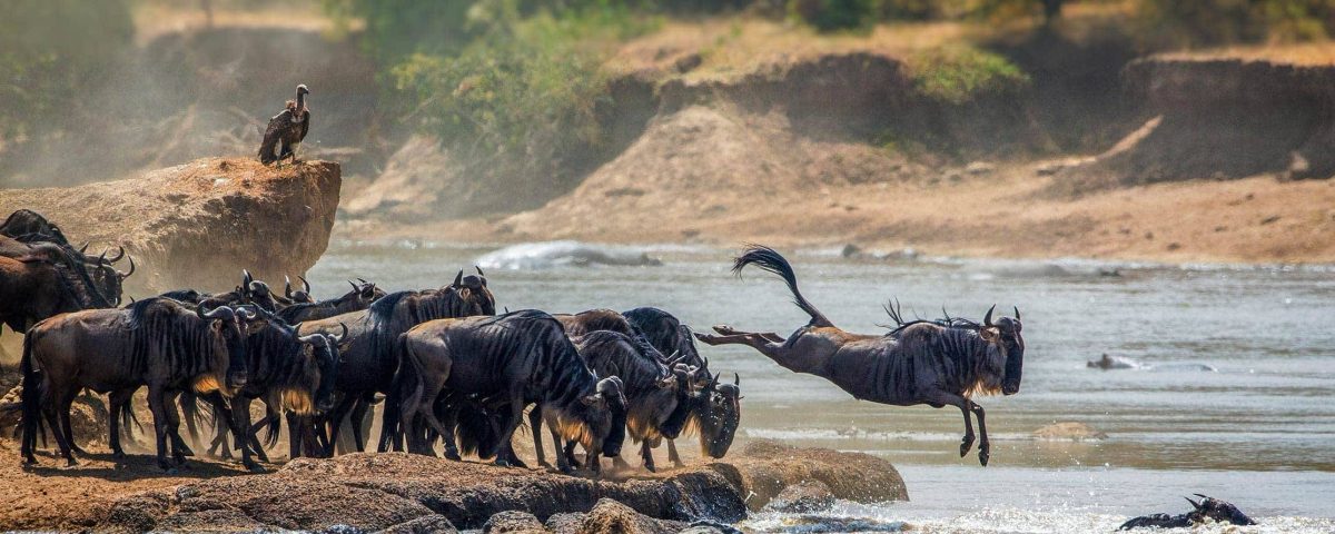 Serengeti National Park