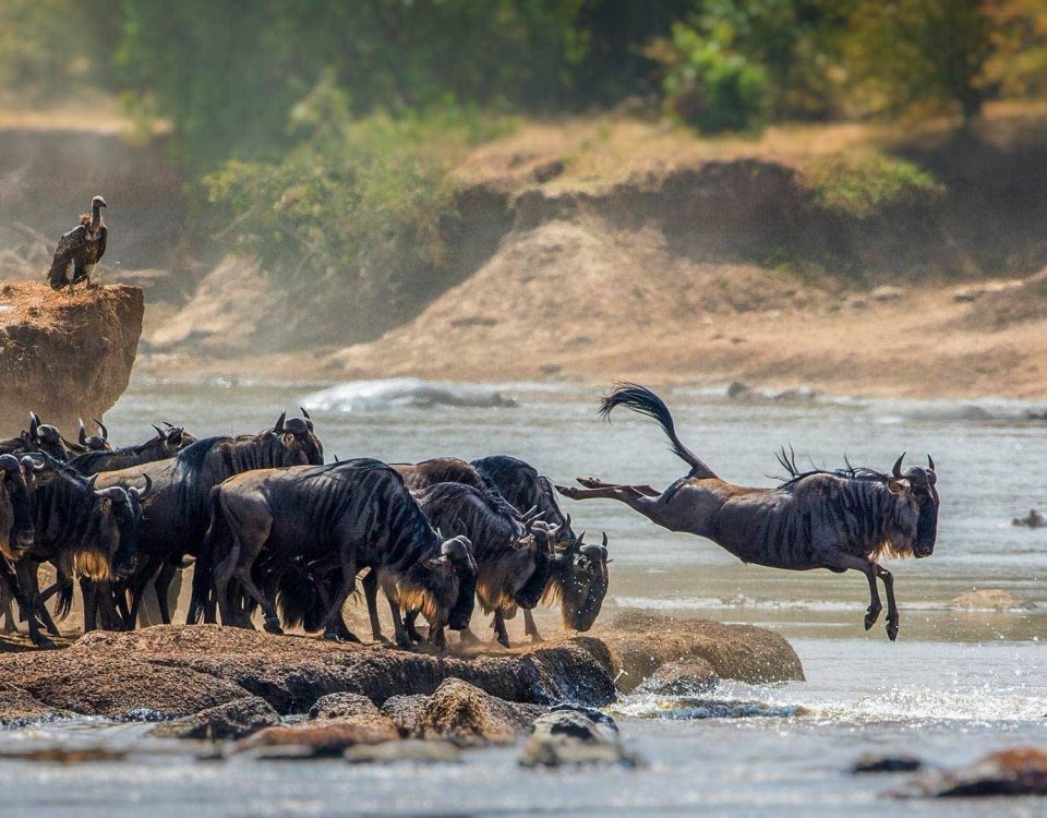 Serengeti National Park