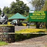 Gorilla Trekking Process in Volcanoes National Park