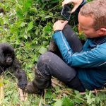 What Happens If Nature Calls During Gorilla Trekking?