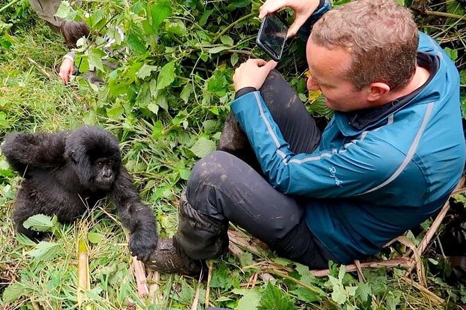 What Happens If Nature Calls During Gorilla Trekking?