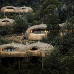 Bisate Lodge