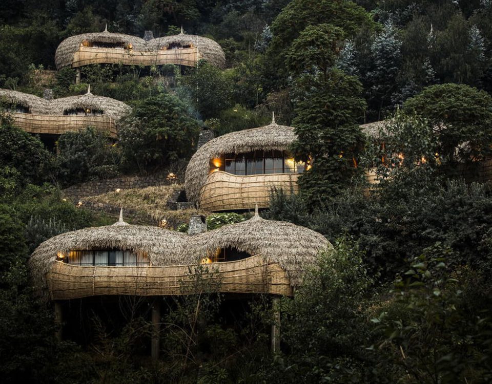 Bisate Lodge