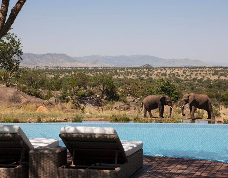 Four Seasons Safari Lodge Serengeti