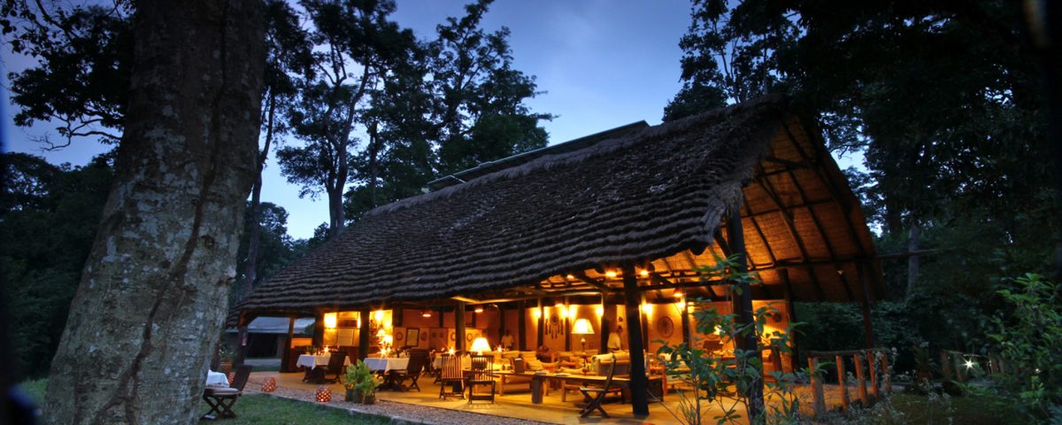 Ishasha Wilderness Camp