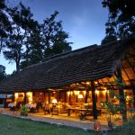 Ishasha Wilderness Camp