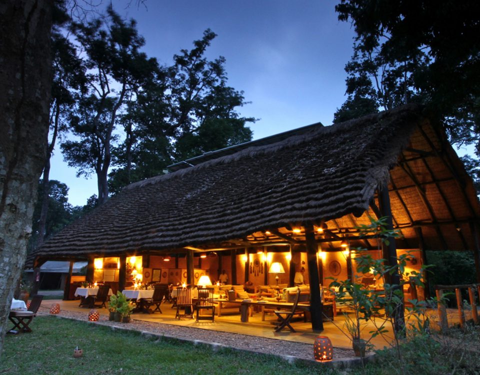 Ishasha Wilderness Camp