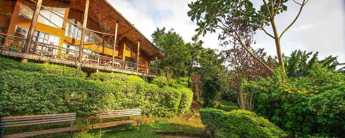 Mahogany Springs Lodge