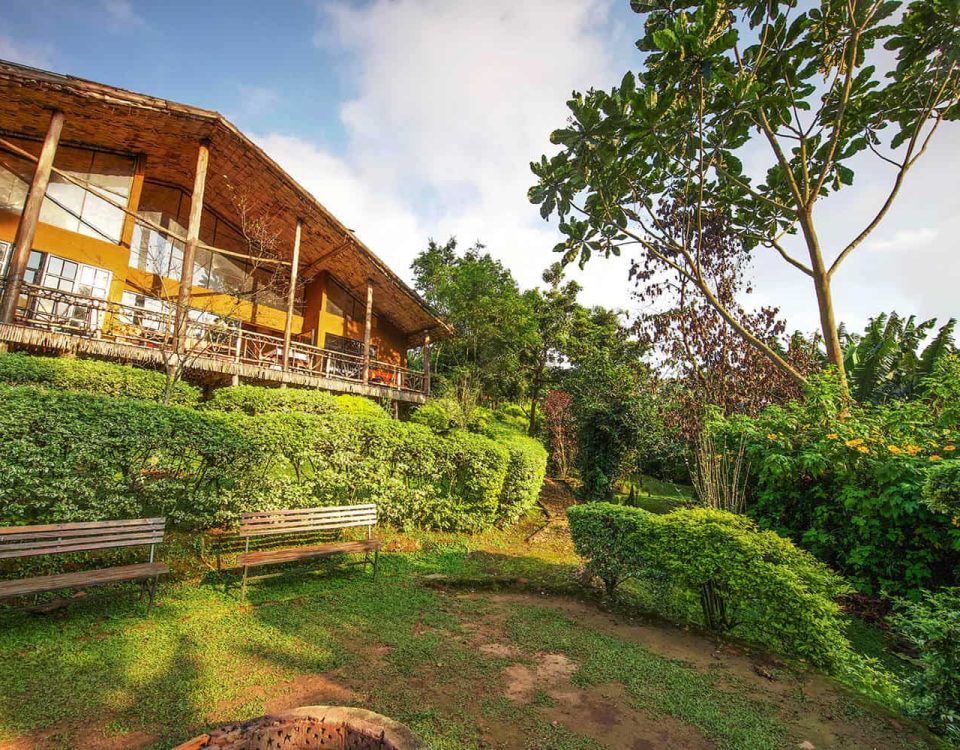 Mahogany Springs Lodge