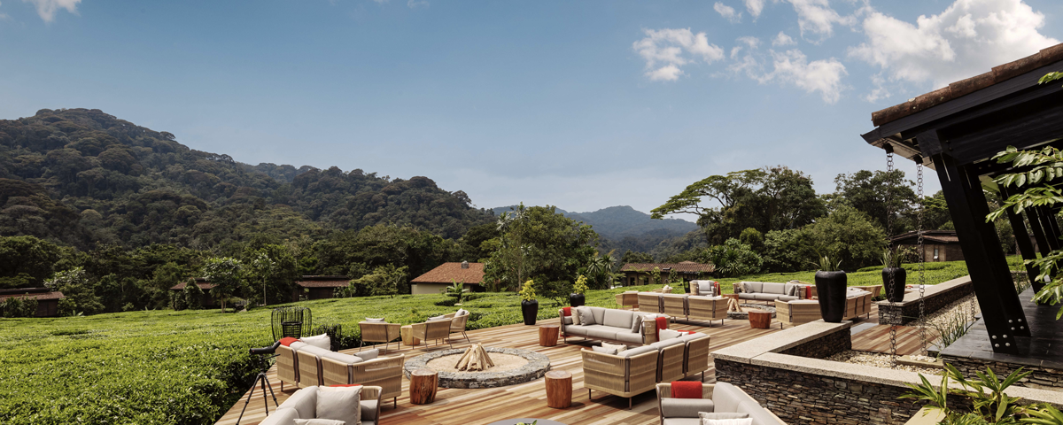 Nyungwe House