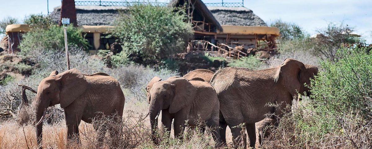 Akagera National Park Safari Activities