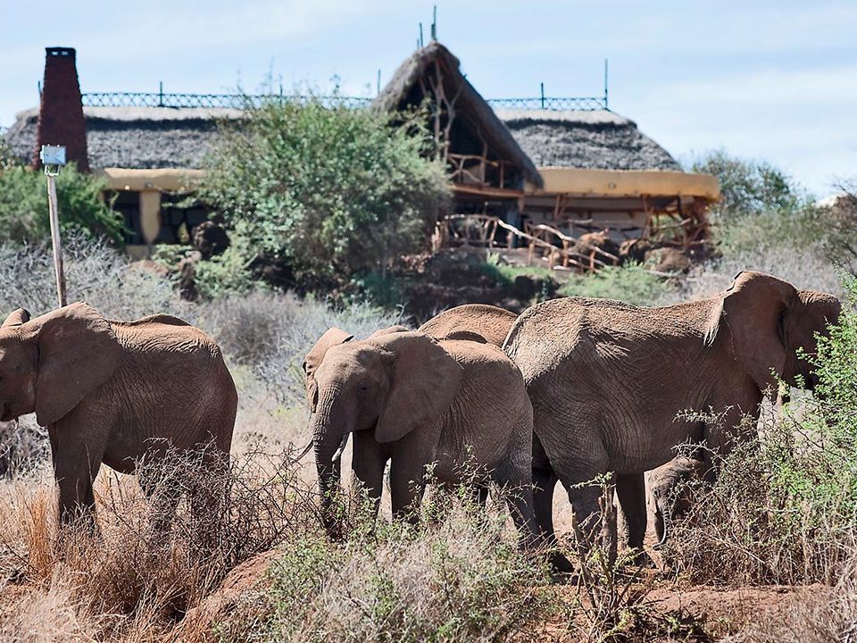 Akagera National Park Safari Activities