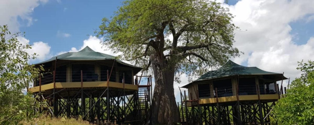 Tarangire Treetops Lodge