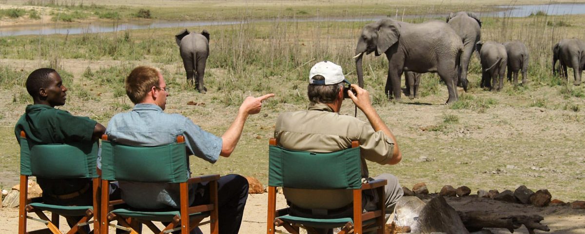 Best Time to Visit Akagera National Park