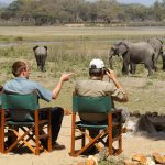 Best Time to Visit Akagera National Park