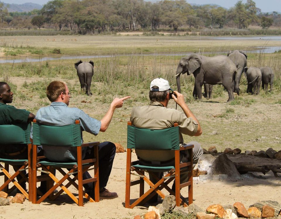 Best Time to Visit Akagera National Park