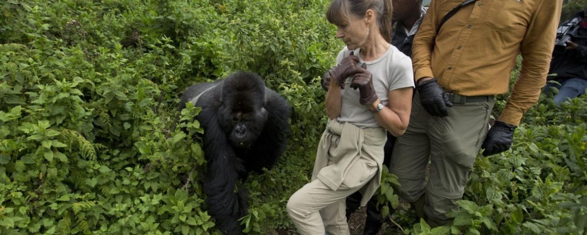 Can children go gorilla trekking?