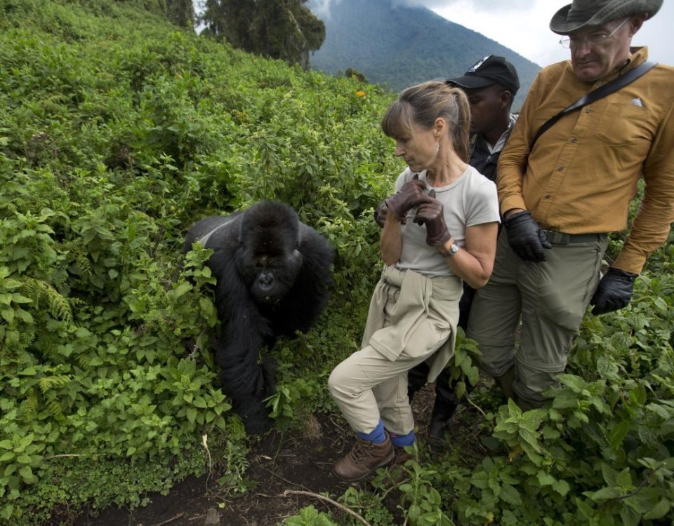 Can children go gorilla trekking?