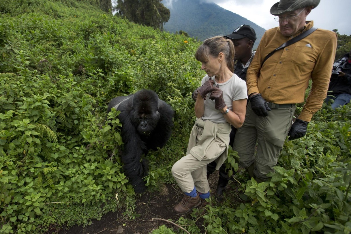 Can children go gorilla trekking?