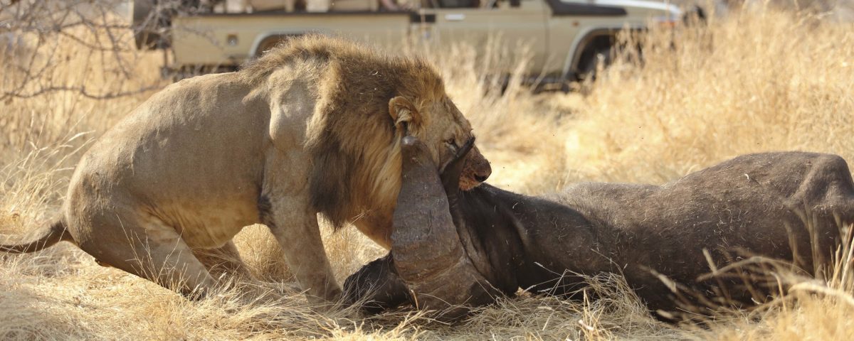 14 Days Uganda & Tanzania Tour