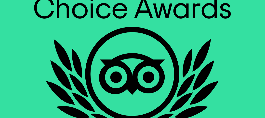 Celebrating Excellence