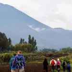 Can volcano hiking be combined with gorilla trekking?