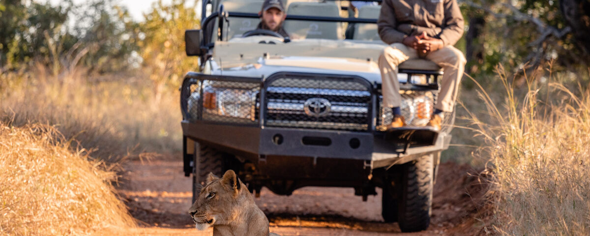 Do Game Drives Disturb Animals During Safaris
