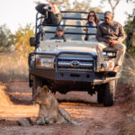 Do Game Drives Disturb Animals During Safaris