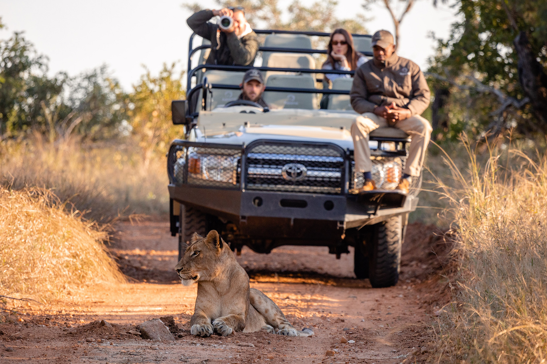 Do Game Drives Disturb Animals During Safaris